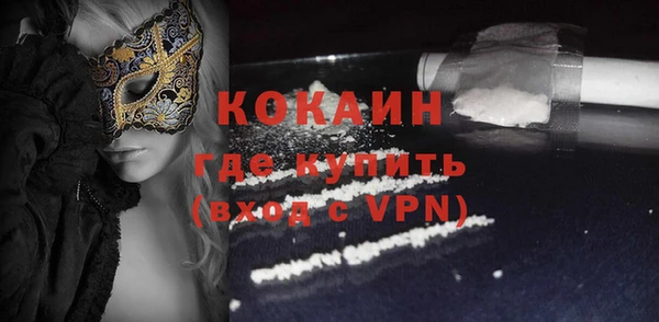 индика Михайлов