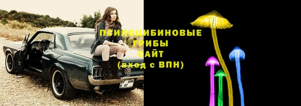 индика Михайлов