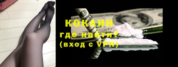 индика Михайлов