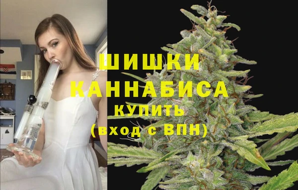 индика Михайлов