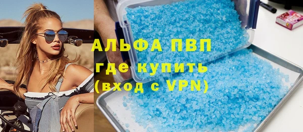 индика Михайлов