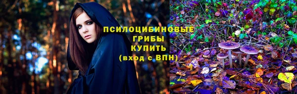 apvp Новый Уренгой