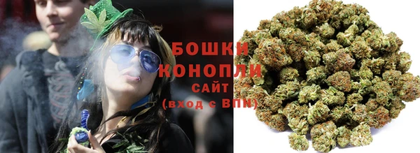 индика Михайлов