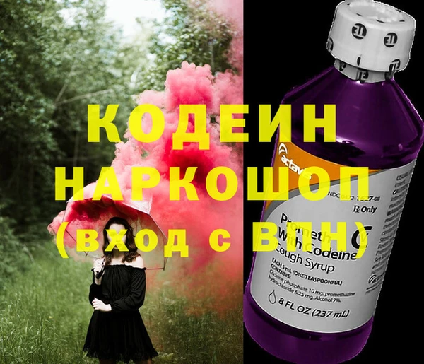 индика Михайлов