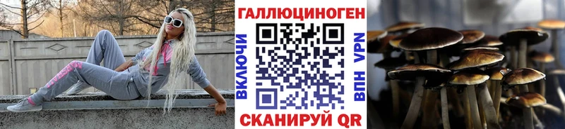 Псилоцибиновые грибы Psilocybine cubensis  Юхнов 